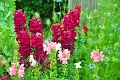 23 06 15_5285_edited-1